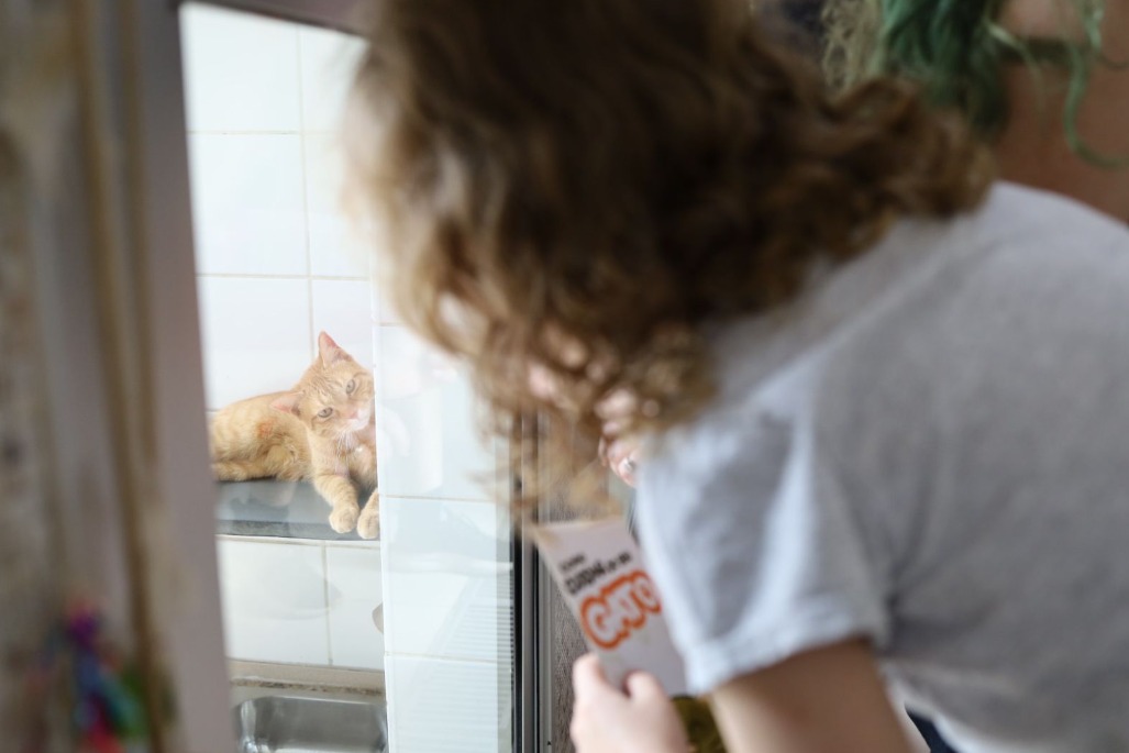 A imagem mostra um gato de pelagem laranja deitado em uma superfície metálica, dentro de um espaço cercado por vidro. O gato olha diretamente para a câmera com uma expressão calma e curiosa. Em primeiro plano, desfocado, há uma pessoa de cabelos cacheados observando o gato através do vidro. Ela segura um papel com parte do texto visível que diz: 