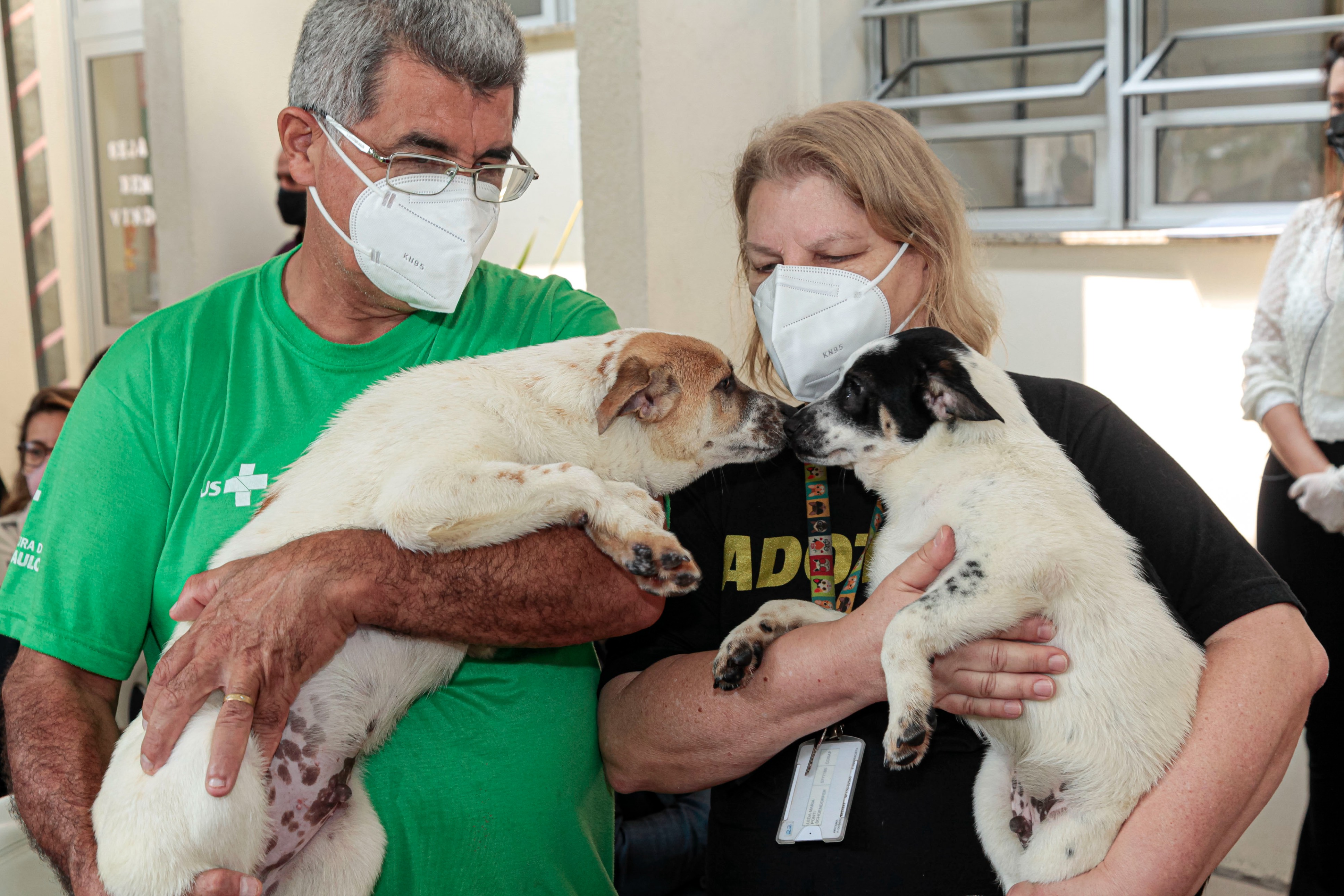 1100621-Missa em homenagem ao Dia de São Francisco - Dia dos Animais