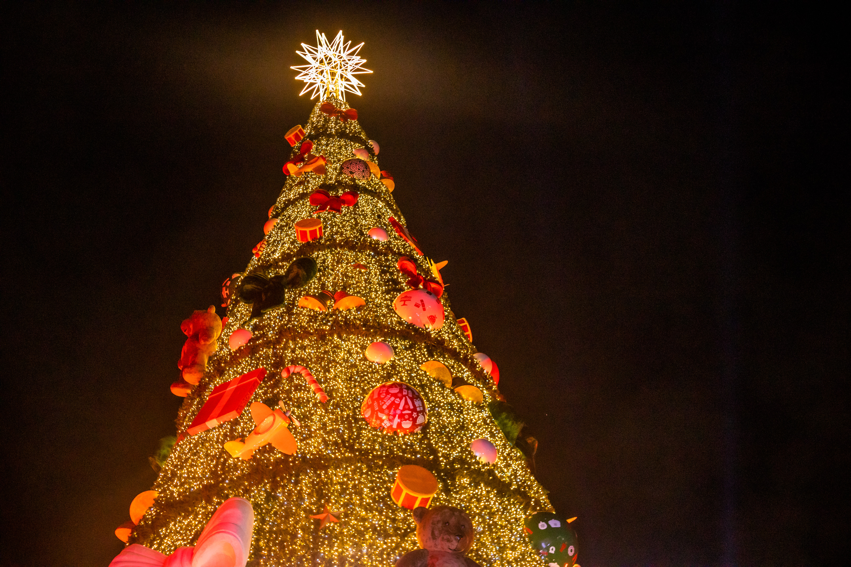 1213226-Inauguração da Árvore de Natal do Parque Villa Lobos