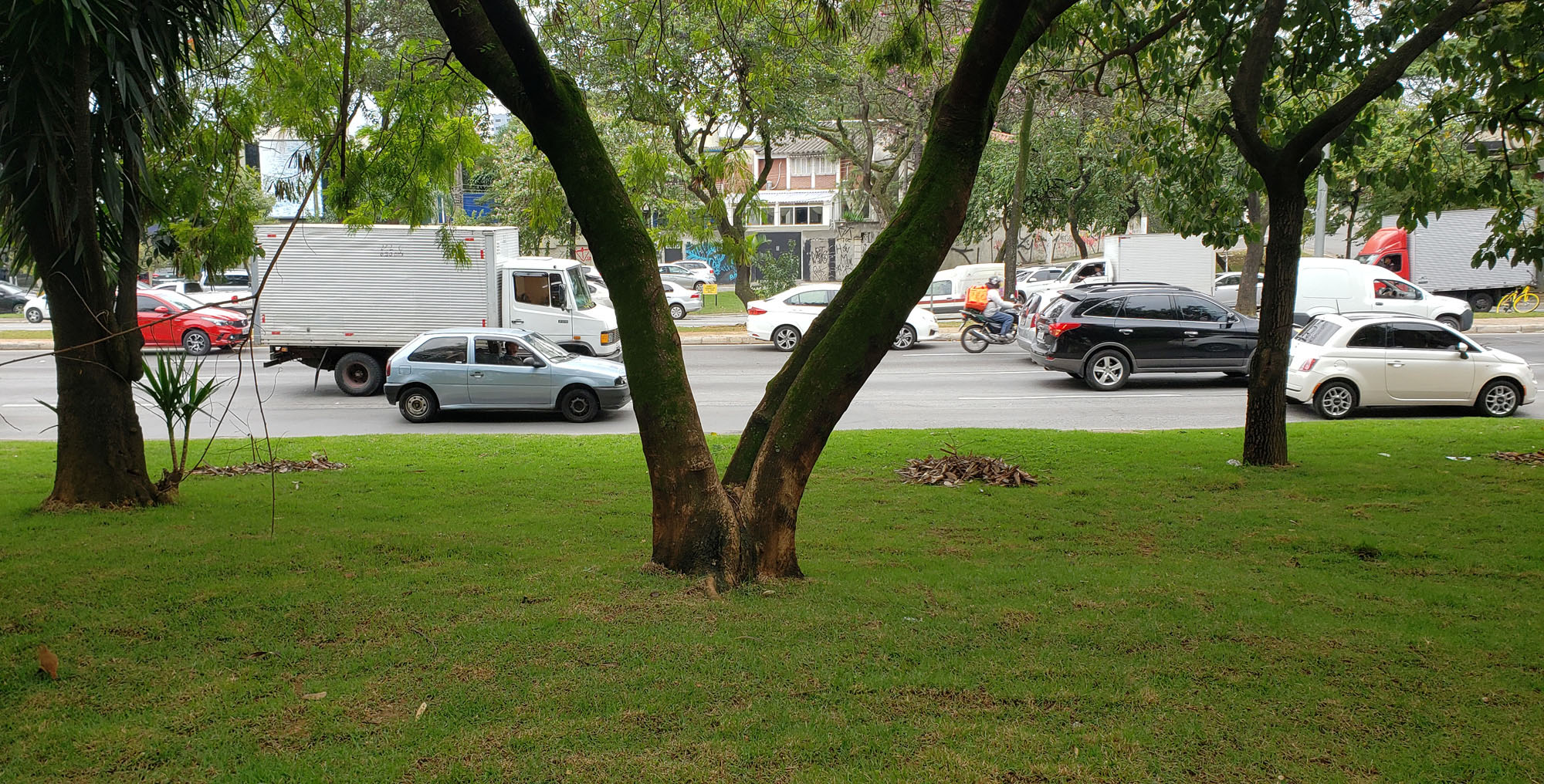 1602365-Avenida dos Bandeirantes