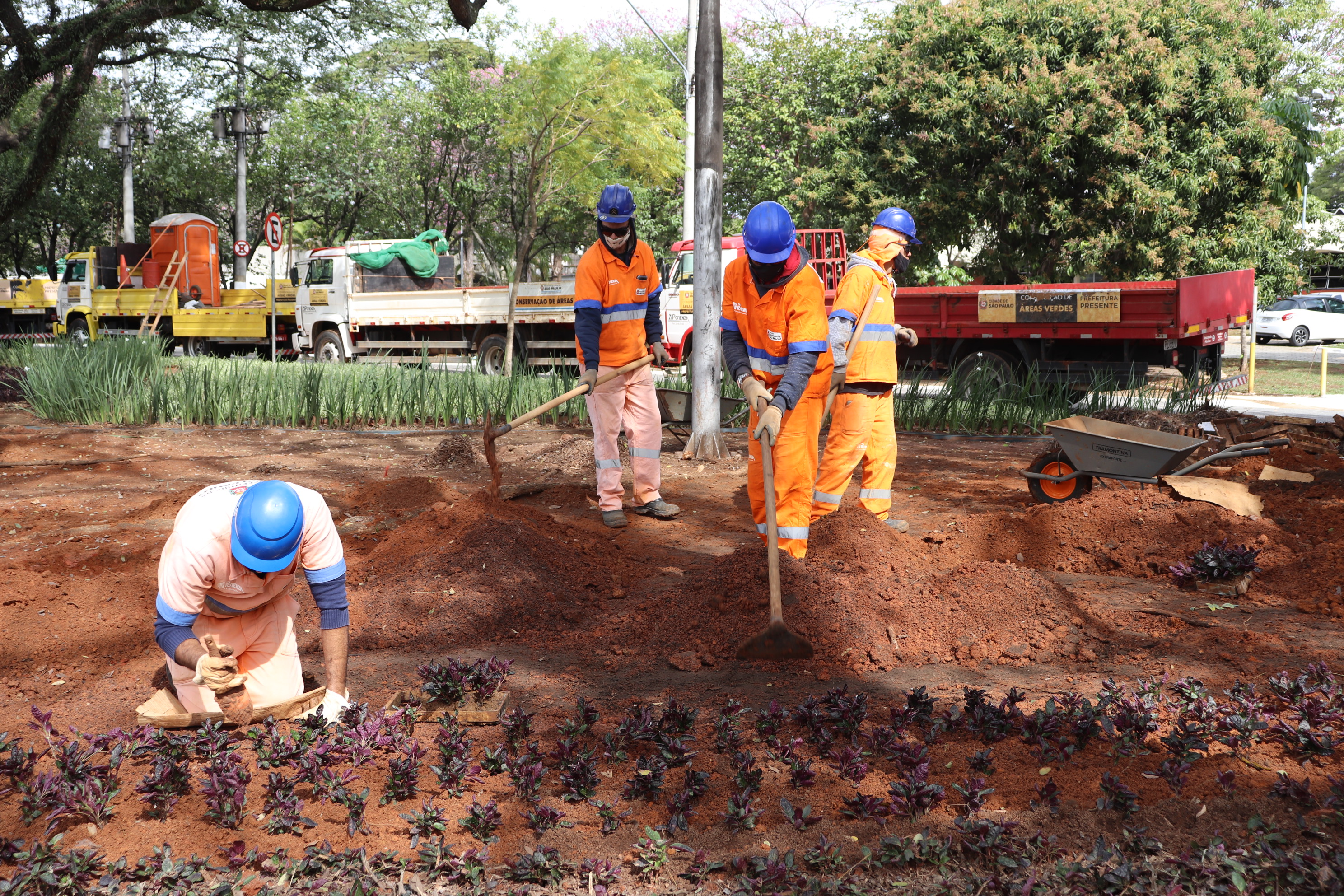 1676642-Projeto Flor e Cidade