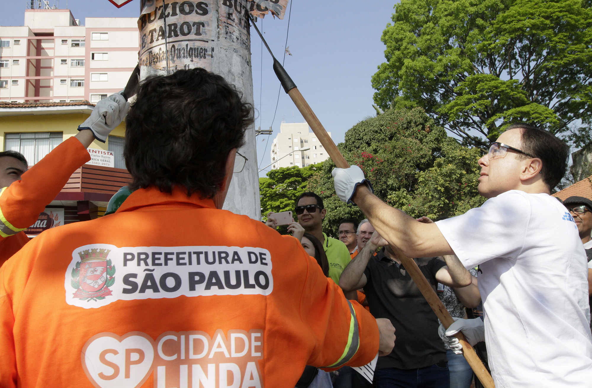Imagem da galeria
