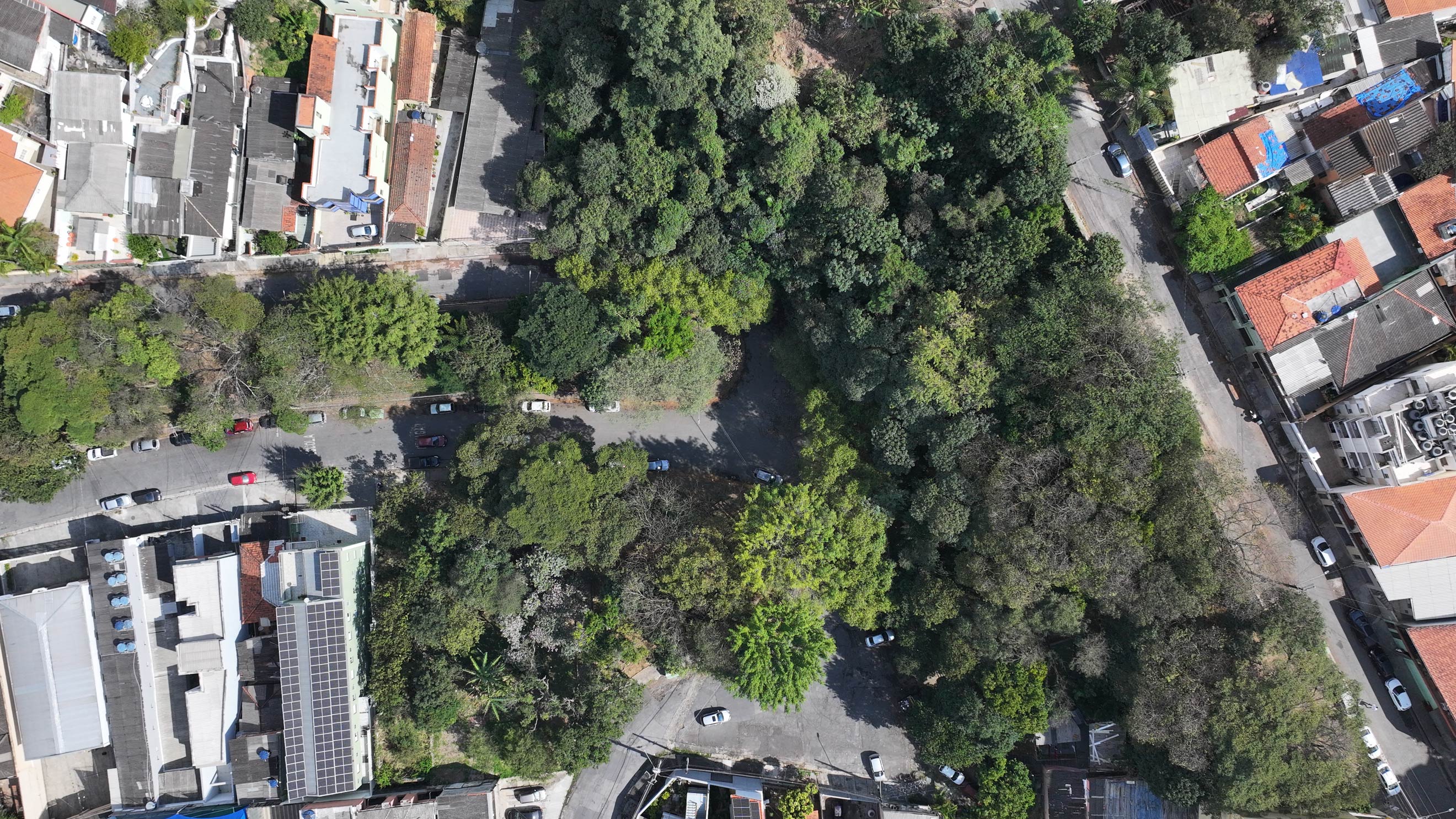 imagem aérea de área verde cercada por casas