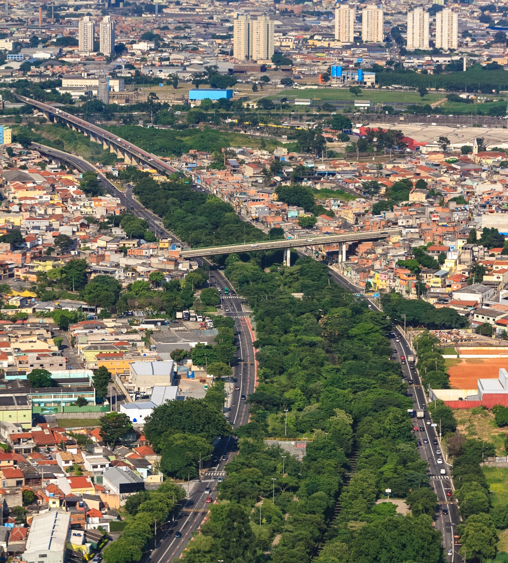 Imagem de uma paisagem atravessada por um corredor verde, com árvores e plantas. Em sua volta aparece moradias e no horizonte prédios altos na altura do céu azul