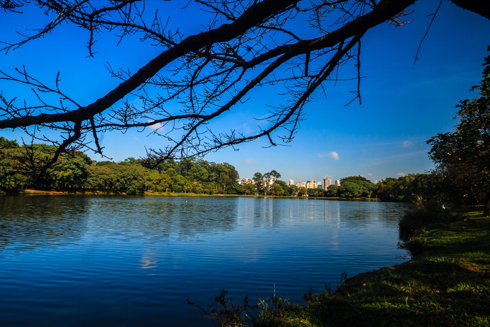Foto do lago com superfície azulada em torno da mesma mata com árvores, acima o céu azul com a sombra de um galho seco do lado esquerdo