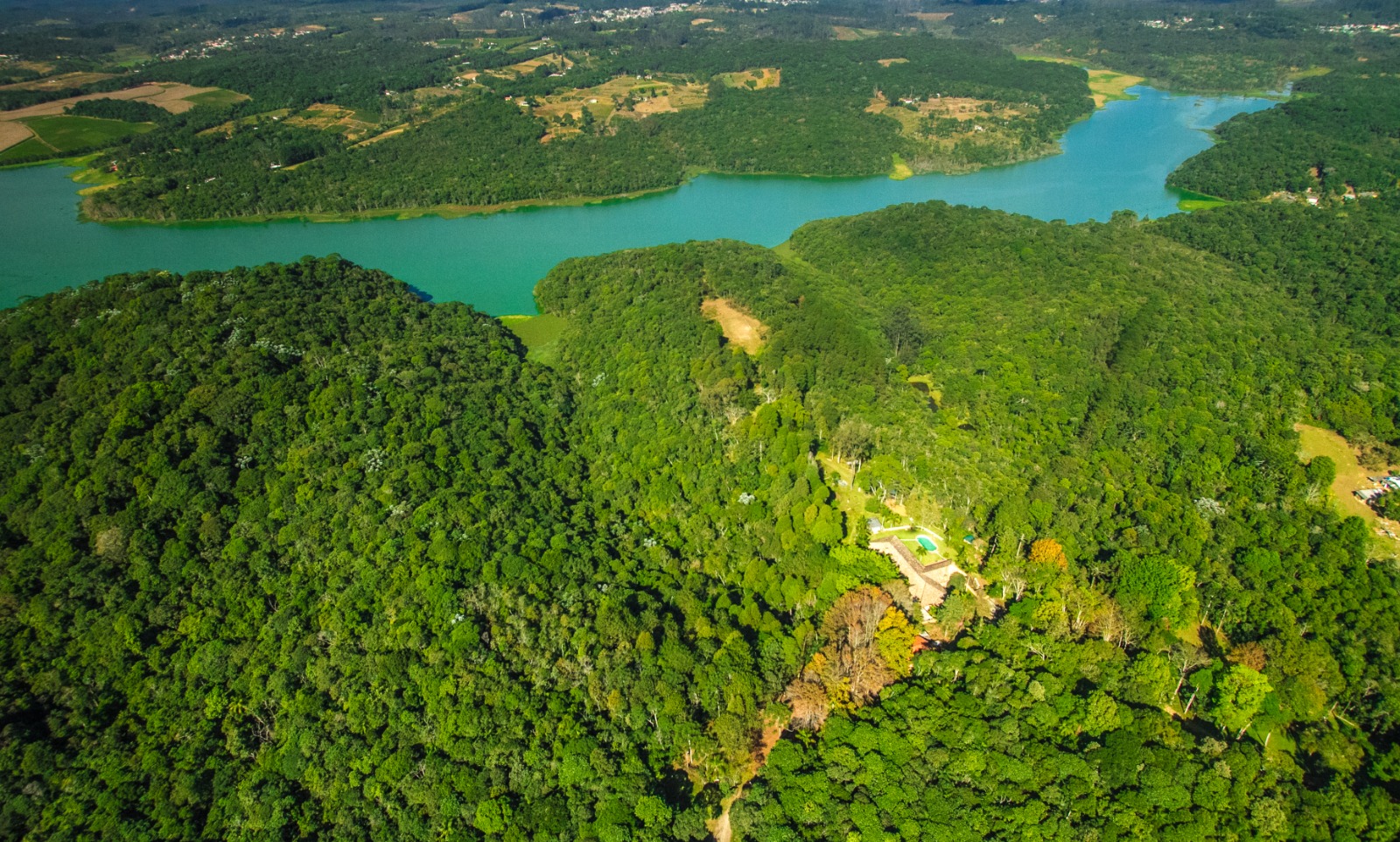 Imagem de uma grande área verde com muitas árvores com um rio passando pela parte de cima