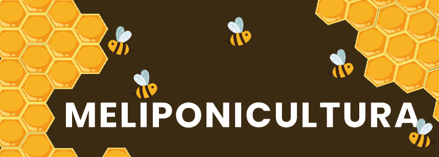 Imagem da atividade Meliponicultura Sustentável