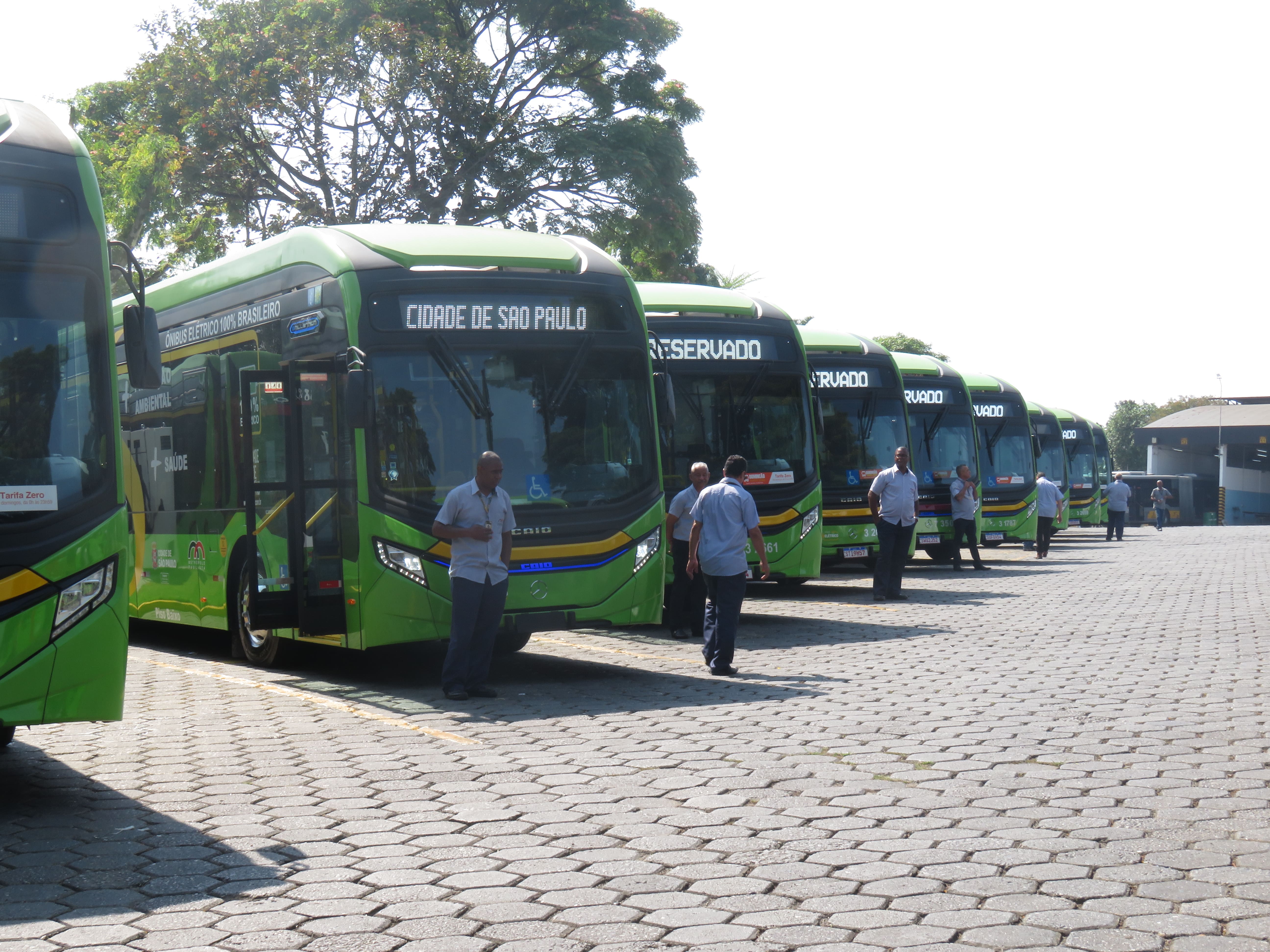 Oito ônibus verdes enfileirados com motoristas em frente.