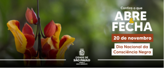 Flores amarelas e laranjas em destaque, sobre fundo de área verde, com o logo da Secretaria Municipal do Verde e do Meio Ambiente. Ao lado, um título na cor branco, indicando a chegada do feriado 