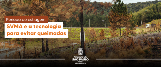 Imagem de fundo de uma floresta com árvores na cor laranja e grama verde, assemelhando a vegetação de Outono. No lado esquerdo da imagem, há um subtítulo com letras brancas em destaque laranja marrom com os seguintes dizeres 