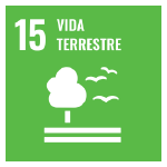 O segundo ícone é a ODS 15 "Vida Terrestre", representada por um ícone verde, com o desenho de uma árvore com duas linhas horizontais abaixo e dois pássaros voando ao lado