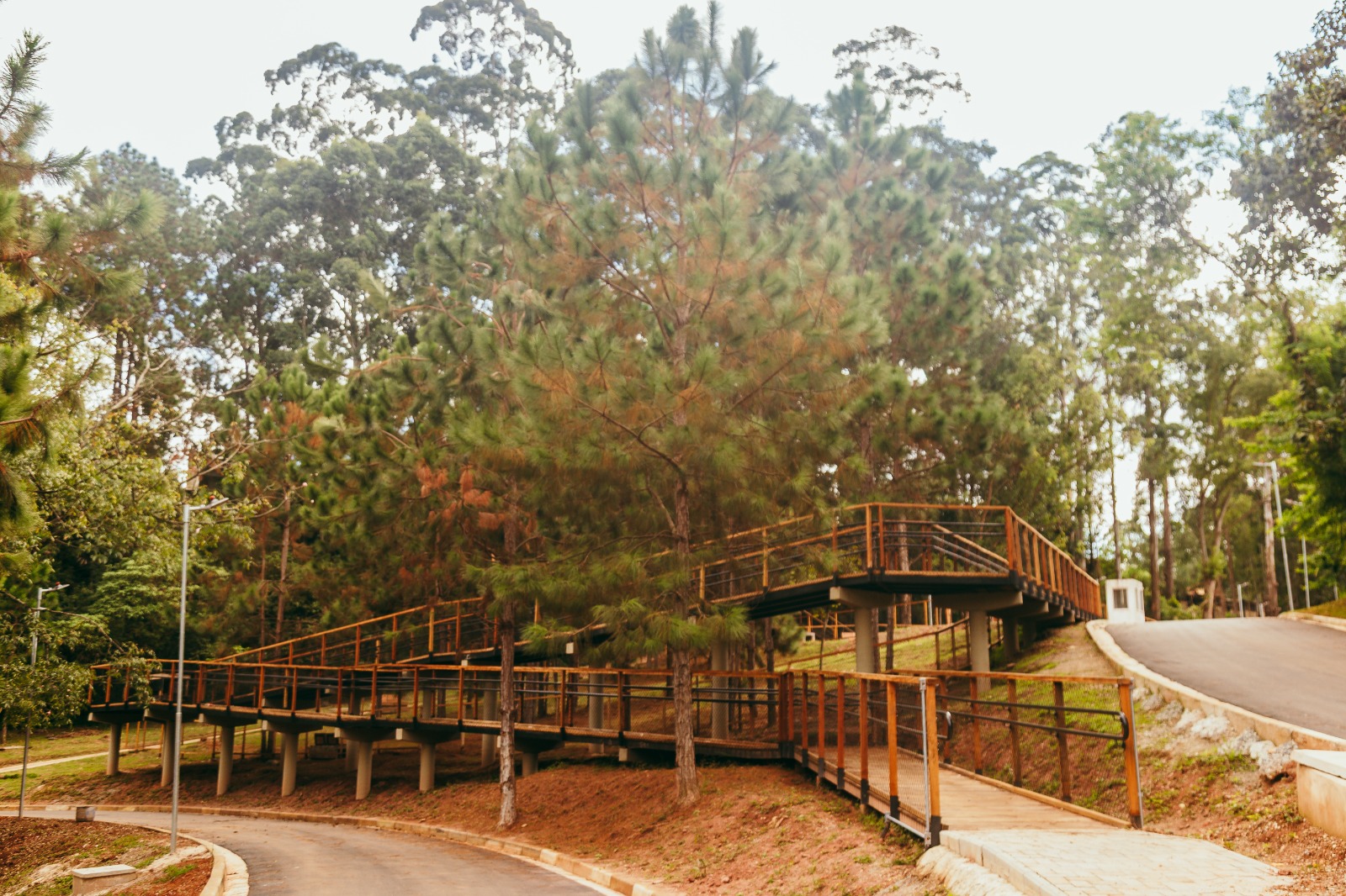 A imagem mostra uma passarela de madeira com corrimãos metálicos alaranjados em meio a uma área arborizada, em um parque. A estrutura, elevada e acessível, é sustentada por pilares cilíndricos cinza claro e contrasta suavemente com o entorno natural. O caminho de acesso é pavimentado e ladeado por meio-fio claro, enquanto o chão ao redor é de terra avermelhada. As árvores predominantes são altas e densas, com copas em tons de verde escuro e algumas folhas com nuances avermelhadas, reforçando a diversidade da vegetação. A iluminação pública é feita por postes finos de cor cinza, discretamente posicionados ao longo do trajeto. As cores da imagem — como o verde das árvores, o marrom da madeira e o laranja dos corrimãos — criam um contraste suave, mas perceptível, favorecendo a orientação visual sem agredir a paisagem natural, o que contribui para a acessibilidade de pessoas com baixa visão em ambientes abertos.